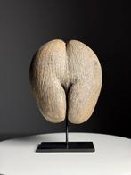 Coco de mer op custom standaard, Ophalen