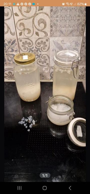 Waterkefir 