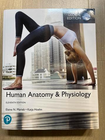 Human Anatomy & Physiology - Marieb, Hoehn beschikbaar voor biedingen