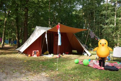 De Waard Vergrote zilvermeeuw, Caravans en Kamperen, Tenten, tot en met 6, Gebruikt, Ophalen