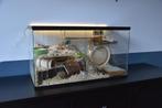 erbil Terrarium met Schuifruiten – Stijlvol en Functioneel, Minder dan 60 cm, Ophalen of Verzenden, Hok, Hamster