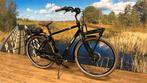 Giant Triple X - E+1, Fietsen en Brommers, Elektrische fietsen, Ophalen, -, -, Giant