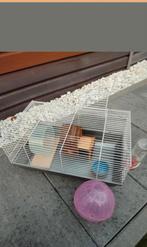 Hamsterkooi, Dieren en Toebehoren, Ophalen of Verzenden