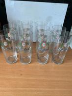 12 Grolsch bierglazen fluit, Ophalen of Verzenden, Nieuw, Glas of Glazen, Grolsch