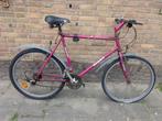 giant mtb, Fietsen en Brommers, Fietsen | Mountainbikes en ATB, Ophalen, Gebruikt, 49 tot 53 cm, Giant