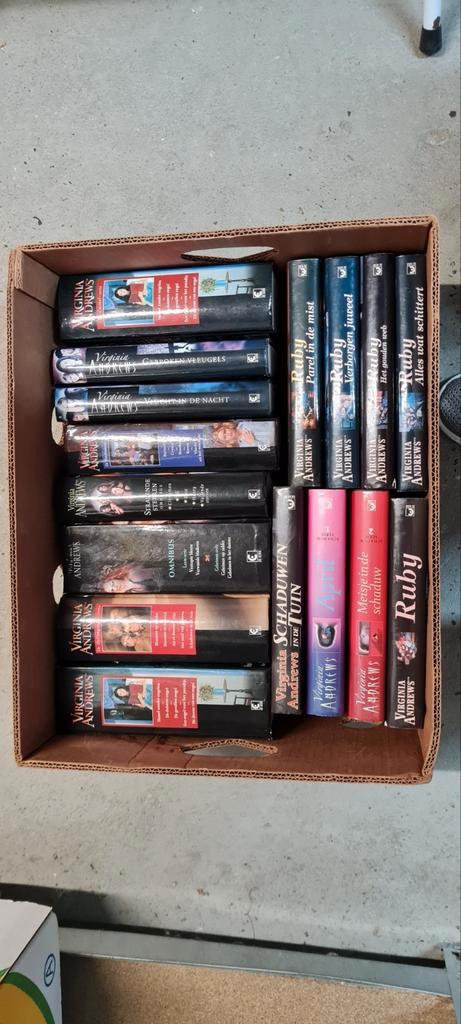 Virginia Andrews boeken doos 3, Boeken, Partijen en Verzamelingen, Zo goed als nieuw, Ophalen of Verzenden
