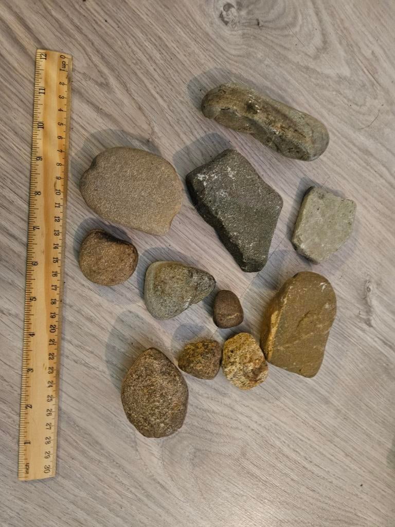 Kleine aquarium/terrarium stenen, Ophalen of Verzenden, Plant(en), Steen of Hout