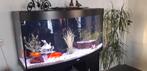 Groot aquarium met onderbouw, Ophalen, Zo goed als nieuw, Leeg aquarium