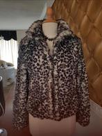 Imitatie bont jas, Kleding | Dames, Ophalen of Verzenden, Zo goed als nieuw, Maat 38/40 (M), Zwart