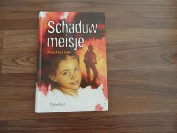 Schaduwmeisje- Albert ten Cate beschikbaar voor biedingen
