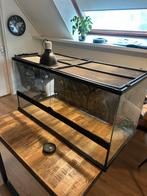 ExoTerra Terrarium 90x45x45 cm – met lamp reptielen bak, Dieren en Toebehoren, Ophalen, Gebruikt, Terrarium of Paludarium