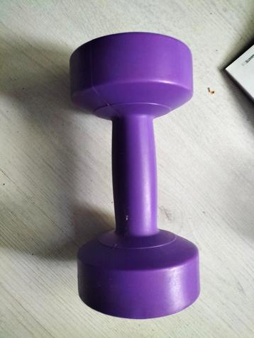 Dumbbell Allright paars beschikbaar voor biedingen