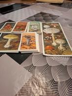 Verkade verzamelplaatjes, Boeken, Prentenboeken en Plaatjesalbums, Ophalen of Verzenden, Gelezen, Onbekend, Prentenboek