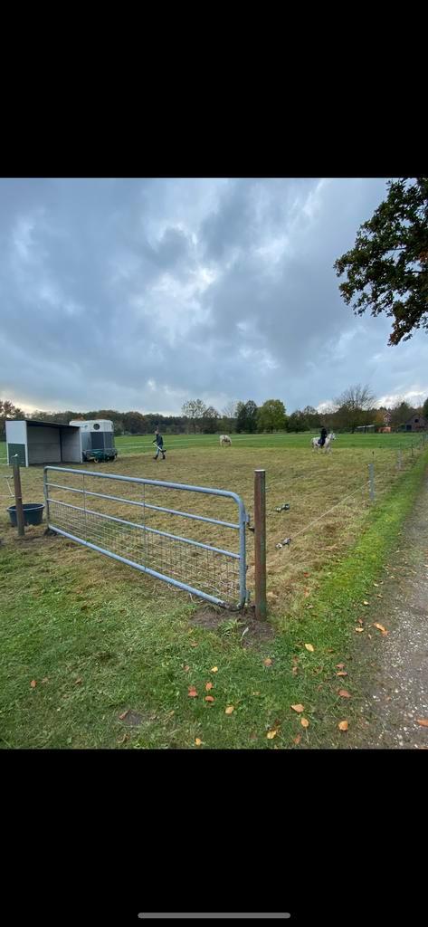 Weiland 7300m2 te koop, Dieren en Toebehoren, Stalling en Weidegang