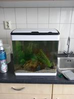 aquarium inclusief filter en div acc, gebogen glas Superfish, Ophalen, Leeg aquarium