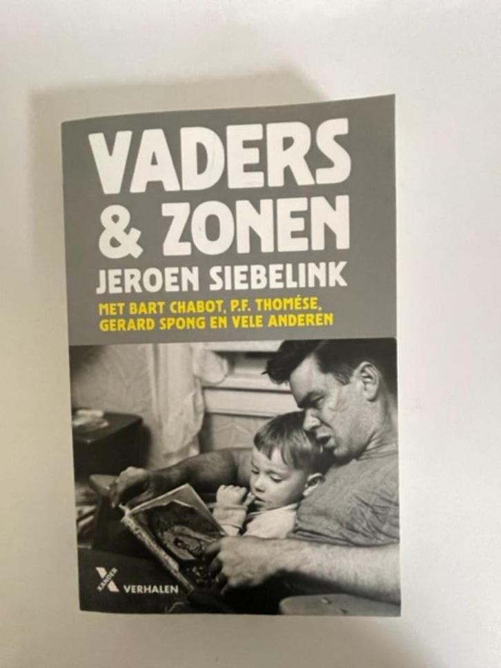 Vaders & zonen. Jeroen siebelink. Ongelezen., Boeken, Zwangerschap en Opvoeding, Zo goed als nieuw, Opvoeding vanaf 10 jaar, Ophalen