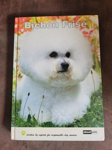 Bichon Frisé  (engels) beschikbaar voor biedingen