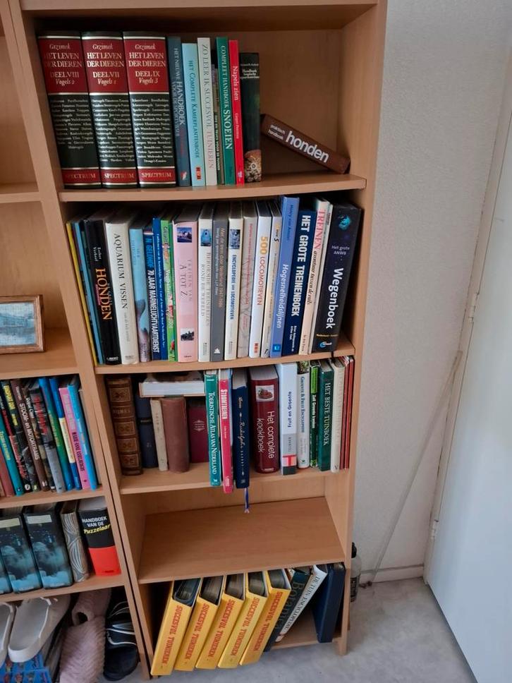 Diverse Oude Boeken Collectie, Boeken, Overige Boeken, Gelezen, Ophalen of Verzenden