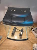 Aquarium met zilver, Ophalen, Zo goed als nieuw, Leeg aquarium