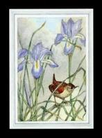 Winterkoninkje door Racey Helps., Verzamelen, Ophalen of Verzenden, 1980 tot heden, Ongelopen, Vogel