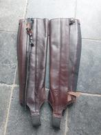 Ariat concord Kinderchaps, Dieren en Toebehoren, Paardrijkleding, Ophalen of Verzenden, Overige soorten, Kinderen, Schoeisel