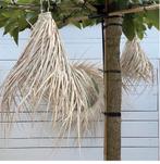 Jasmijn Palmblad-hanglamp-S, Ophalen of Verzenden