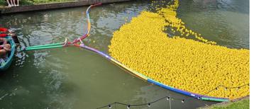 Badeendjes te huur. Badeendenrace beschikbaar voor biedingen