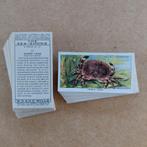 The Sea-Shore complete set 50 cigarette cards 1938, Ophalen
