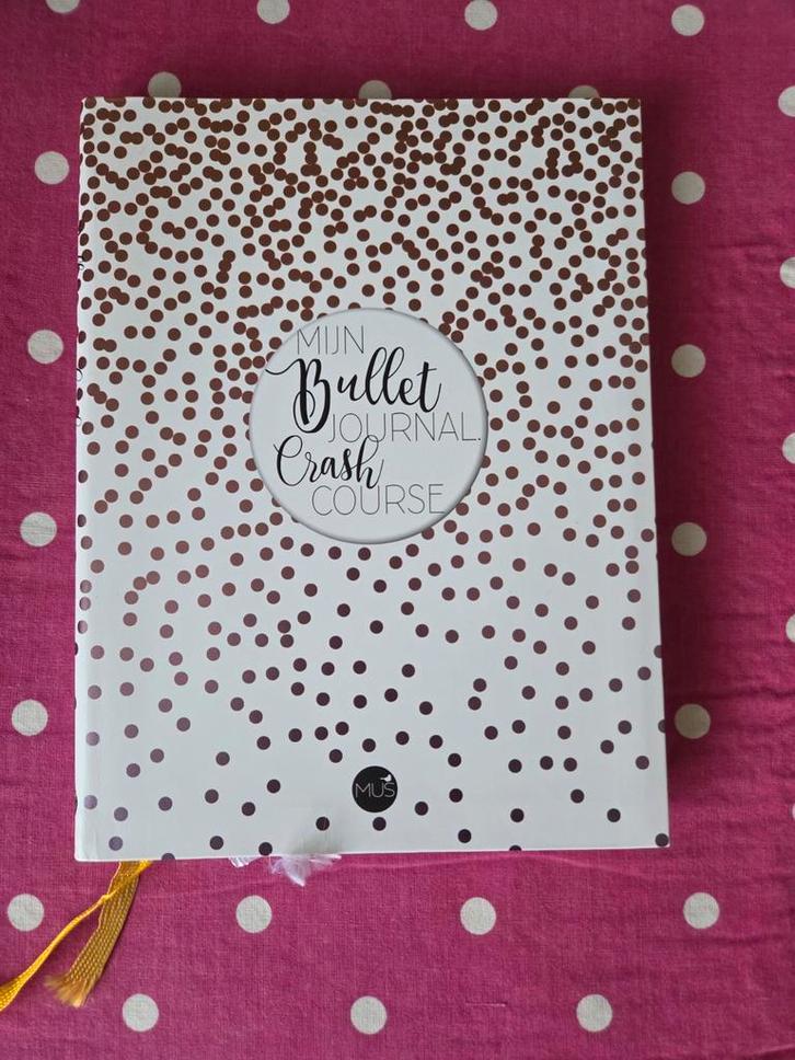 Mijn Bullet Journal Crash Course - Nieuwstaat!, Boeken, Overige Boeken, Ophalen of Verzenden
