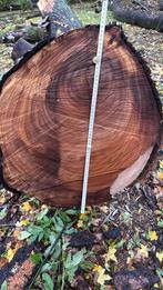 Boomstammen Iep - Prachtig hout voor projecten, Doe-het-zelf en Verbouw, Hout en Planken, Ophalen, Gebruikt, Balk, Overige houtsoorten