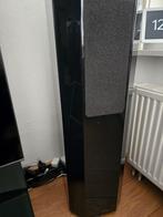 Elipson 1303 Jubileum Foster Luidsprekers, Audio, Tv en Foto, Luidsprekers, Gebruikt, 60 tot 120 watt, Front, Rear of Stereo speakers