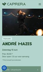 2 Tickets Andre Hazes caprera Bloemendaal., Twee personen, Juni
