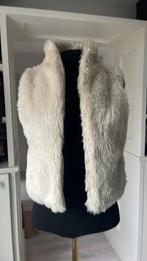 Dames Bodywarmer/gilet S, Ophalen of Verzenden, Zo goed als nieuw, Maat 38/40 (M), Zwart