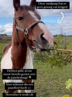 Paardenmixhaag 60/80 cm per 10 meter nu €75,-, Tuin en Terras, Planten | Struiken en Hagen, Ophalen, Minder dan 100 cm