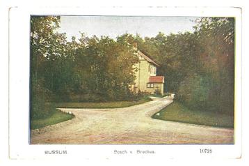 900599	Bussum	Bosch v Bredius	Nette oude kaart Onbeschreven  beschikbaar voor biedingen