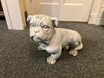 stenen bulldog beeld bulletje bull tuinbeeld, Ophalen, Gebruikt, Beton, Dierenbeeld