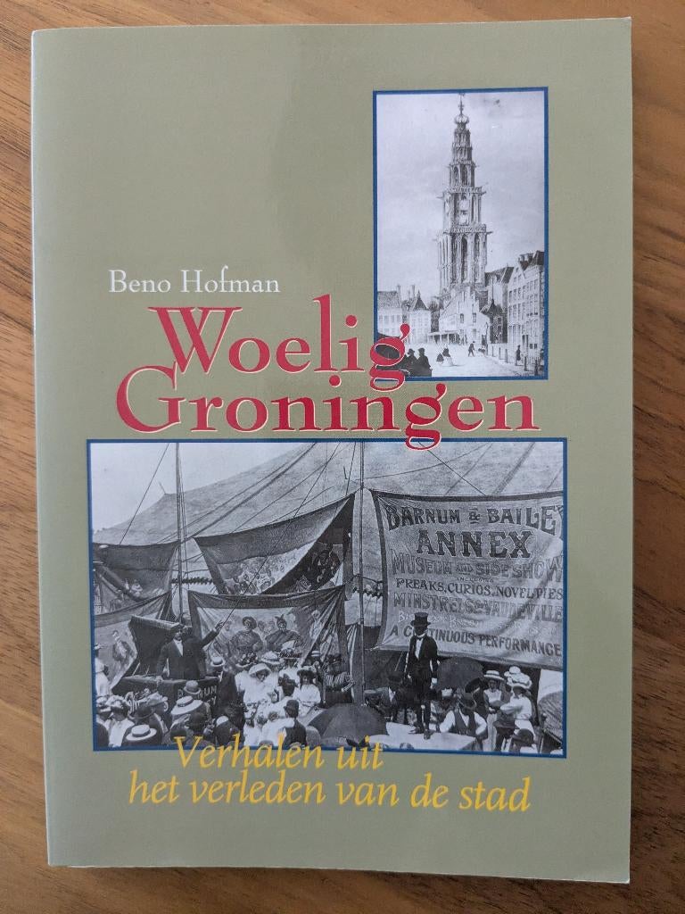 Woelig Groningen, Ophalen of Verzenden, Zo goed als nieuw, Beno Hofman