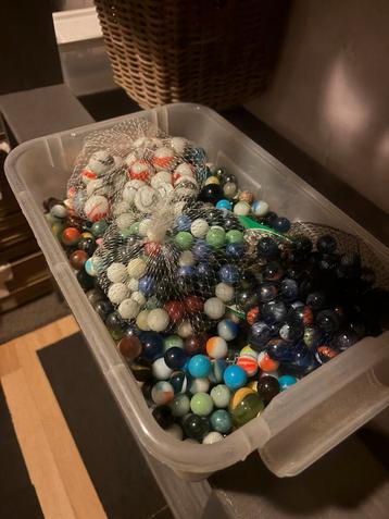 Knikkers beschikbaar voor biedingen