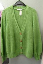 STUDIO ANNELOES VEST MT M, Kleding | Dames, Truien en Vesten, Ophalen of Verzenden, Zo goed als nieuw, Maat 38/40 (M)