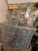 Kooi voor goud / dwerg hamster + toebehoren, Dieren en Toebehoren, Kooi, Minder dan 75 cm, Hamster, Ophalen