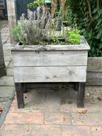 Houten plantenbak, Ophalen, Gebruikt, Tuin, 60 cm of meer
