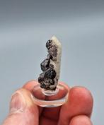 Tennantiet op Kwarts - Dalnegorsk, Rusland, Ophalen of Verzenden, Mineraal