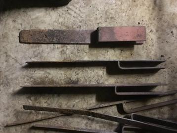 hamamelis planten 2 soorten beschikbaar voor biedingen