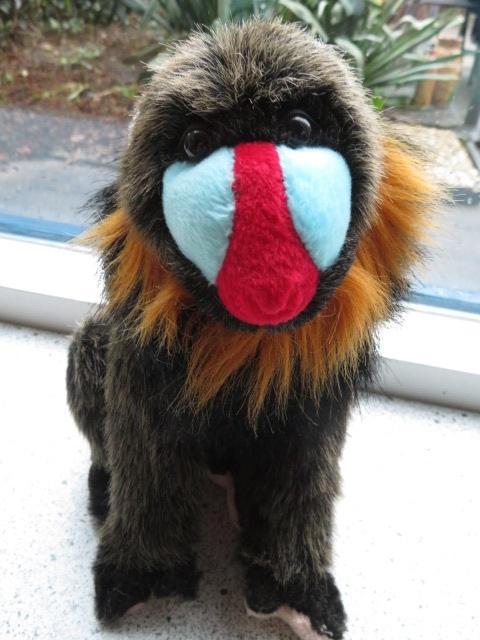 Aap Mandril of Baviaan uit de dierentuin merk PIA Holland, Kinderen en Baby's, Speelgoed | Knuffels en Pluche, Zo goed als nieuw