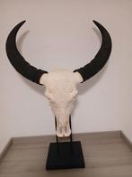 buffel schedel, Ophalen, Zo goed als nieuw