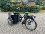 Elektrische Nihola Dog Bakfiets - Perfect voor je hond!, Gebruikt, Elektrisch, 1 kind, Ophalen