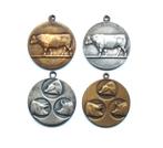 België lot met 4 verschillende penningen Ministerie van L., Ophalen of Verzenden, Brons, Buitenland