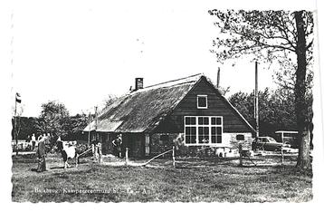 978821 Balkbrug Ov 1965 Si Es An .Gelopen met zegel beschikbaar voor biedingen