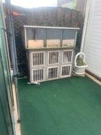 Lichthok  donkerhok  gratis   In  leiden, Dieren en Toebehoren, Ophalen of Verzenden, Gebruikt