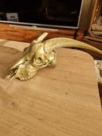 Gouden echte geiten skull, Ophalen of Verzenden, Gebruikt, Overige materialen, Dierenbeeld